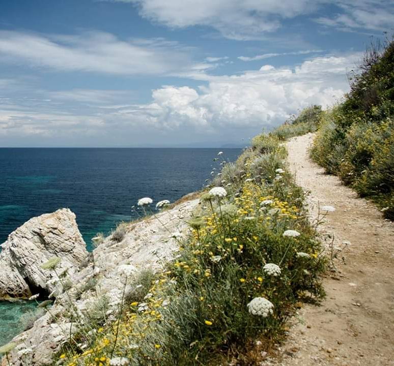 corsa e trail: sport in natura all'Isola d'Elba